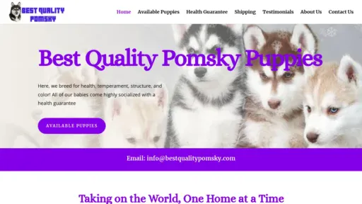 A screenshot of Bestqualitypomsky.com