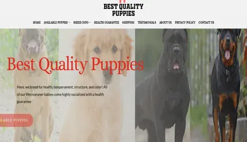 A screenshot of Genlanfamilystbernard.com