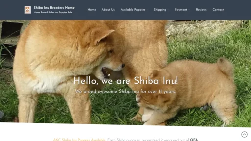 A screenshot of Bestshibainupups.com