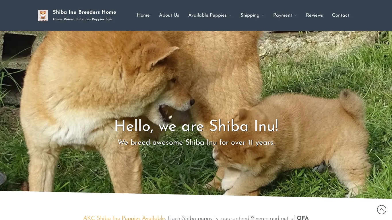 is bestshibainupups.com legit? screenshot