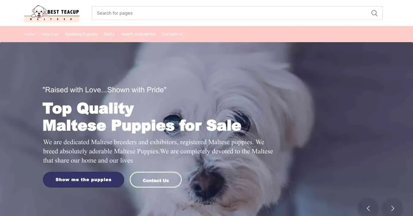 is bestteacupmaltese.com legit? screenshot