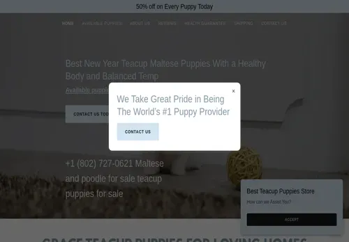 is bestteacuppuppiesstoreever.com legit? screenshot