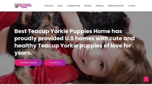 A screenshot of Bestteacupyorkiepuppieshome.com