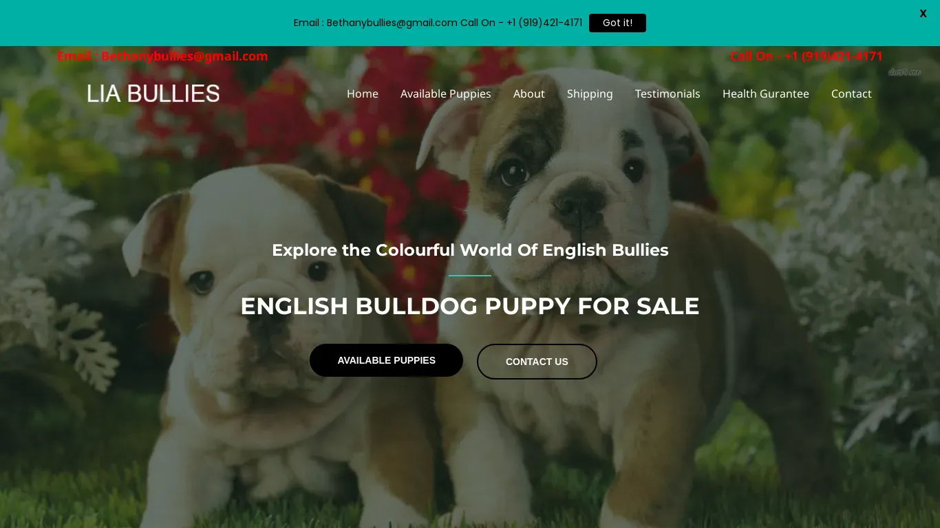 is bethanybullies.com legit? screenshot