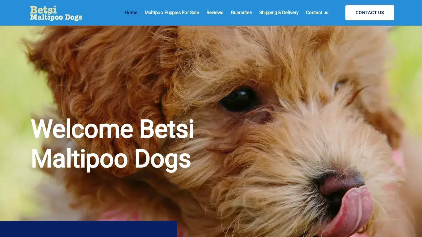 is Welcome | Betsi Maltipoo dogs legit? screenshot