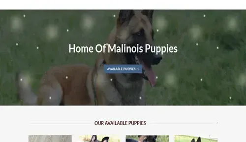 A screenshot of Genlanfamilystbernard.com