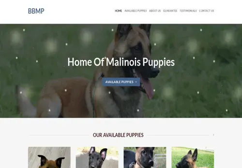 is bettiebelgianmalinoispups.com legit? screenshot