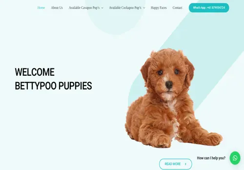is bettypoopuppies.com legit? screenshot