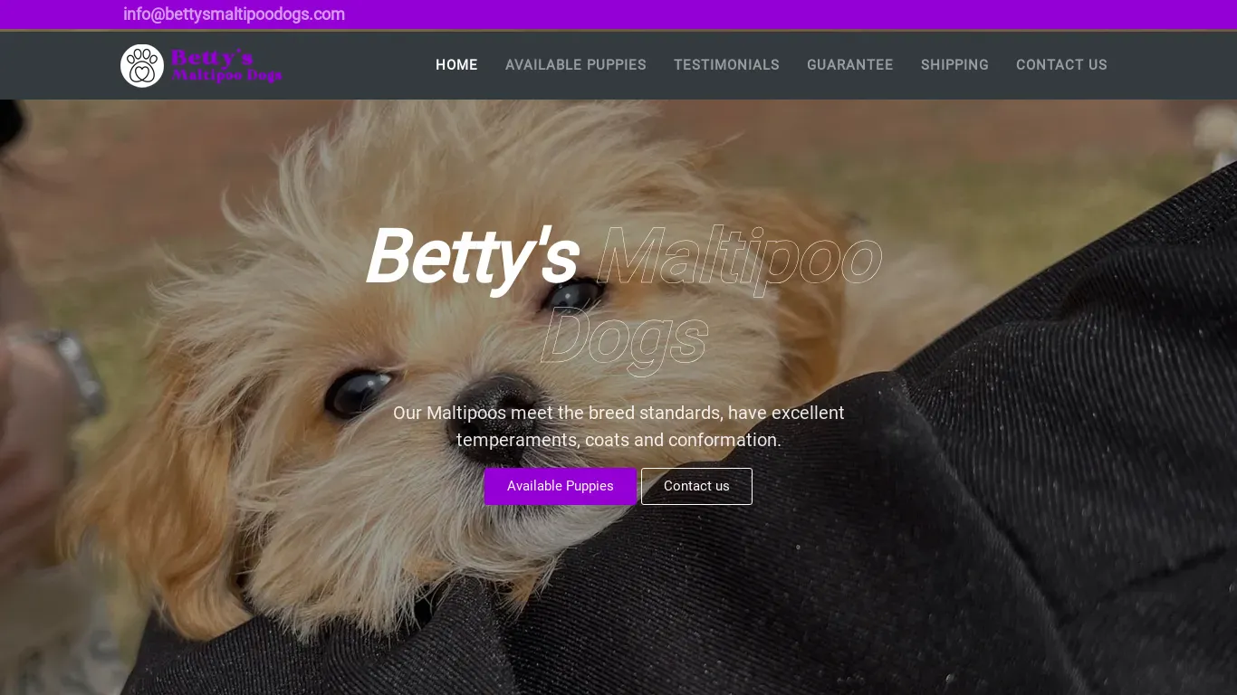 is Welcome | Betty's Maltipoo Dogs legit? screenshot