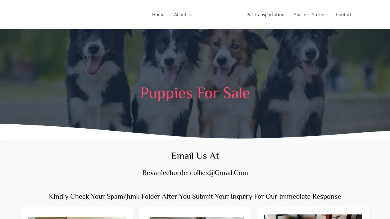 is bevanleebordercollies.com legit? screenshot