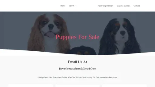 A screenshot of Bevanleecavaliers.com