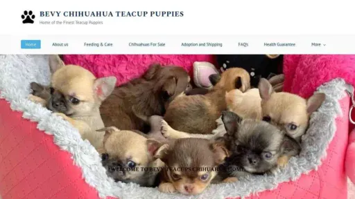 A screenshot of Genlanfamilystbernard.com