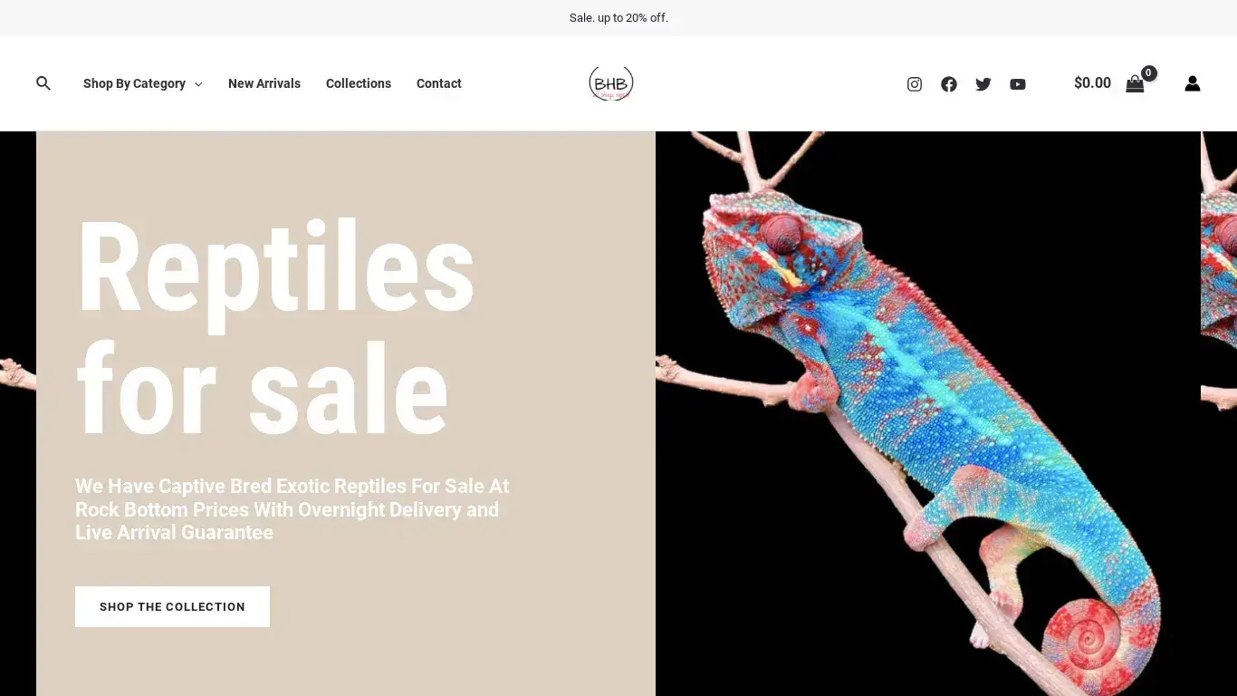 is Reptiles For Sale - Bhb Reptiles legit? screenshot