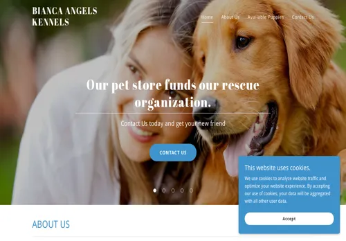 is biancaangelskennels.co.za legit? screenshot