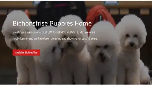 A screenshot of Genlanfamilystbernard.com