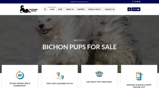 A screenshot of Bichonpupsforsale.com