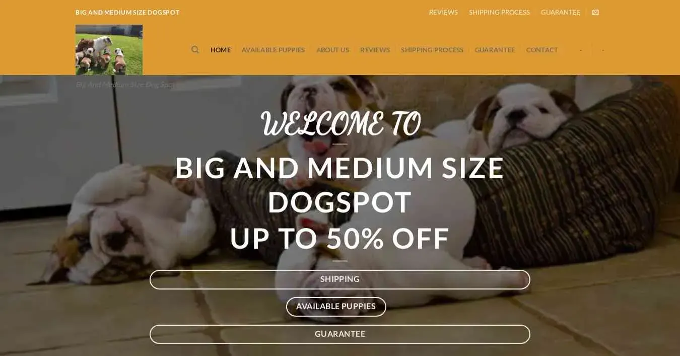 is bigandmediumsizedogspot.com legit? screenshot