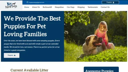 A screenshot of Bigdavedogs.com