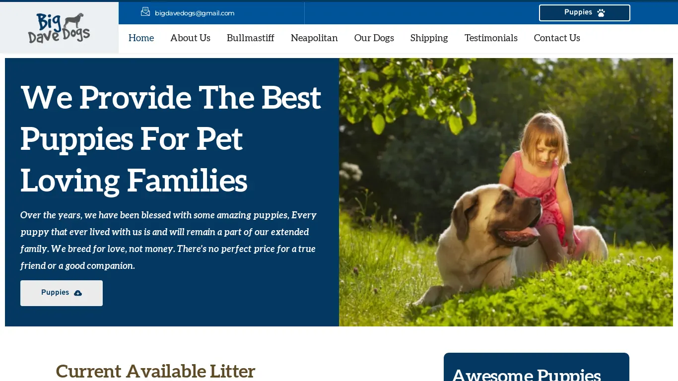 is Big Dave Dogs – Healthy Mastiff Puppies For Sell legit? screenshot