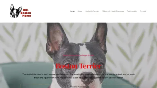 A screenshot of Billbostonhome.com