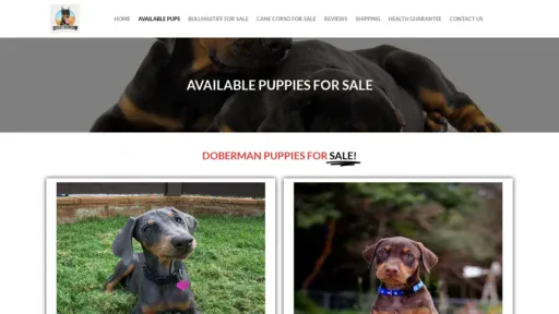 A screenshot of Billybigdogs.com