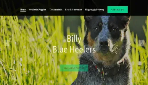 A screenshot of Genlanfamilystbernard.com