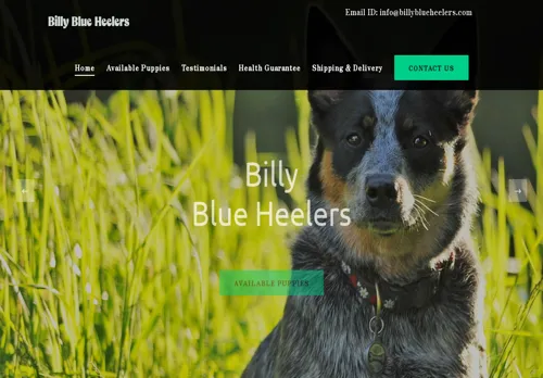 is billyblueheelers.com legit? screenshot