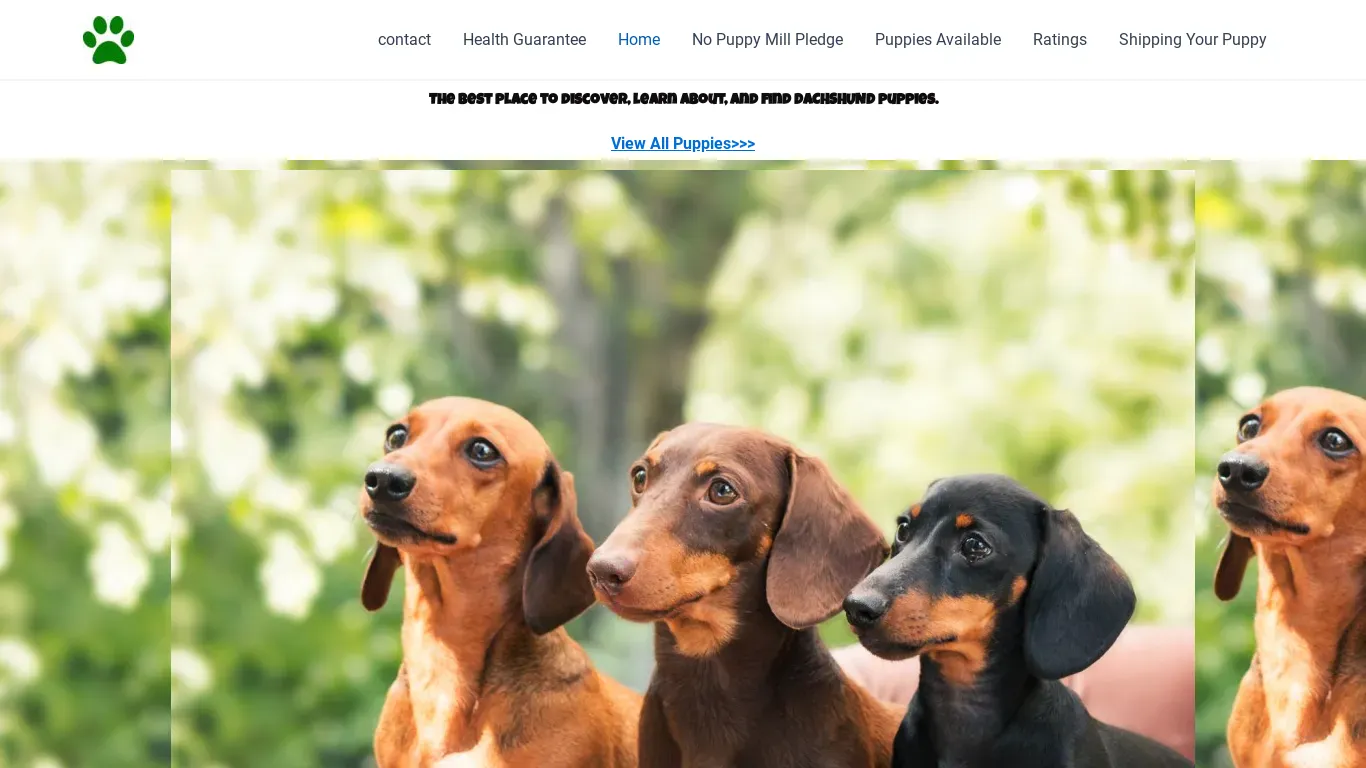 is billydachshundcuddlers.com legit? screenshot