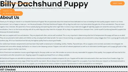 A screenshot of Billydachshundpuppy.com