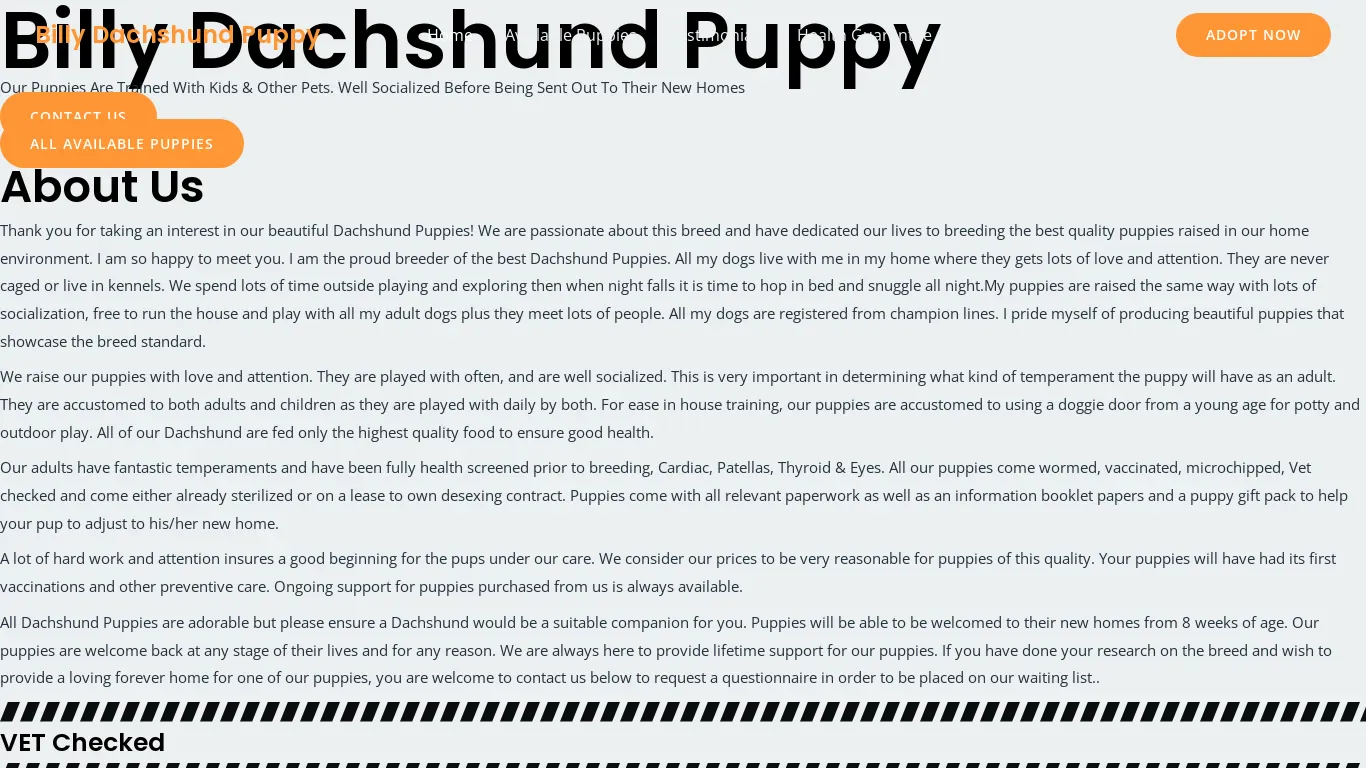 is billydachshundpuppy.com legit? screenshot