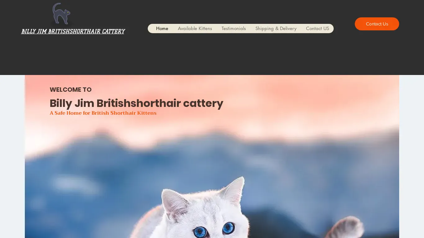is billyjimbritishshorthaircatter.com legit? screenshot