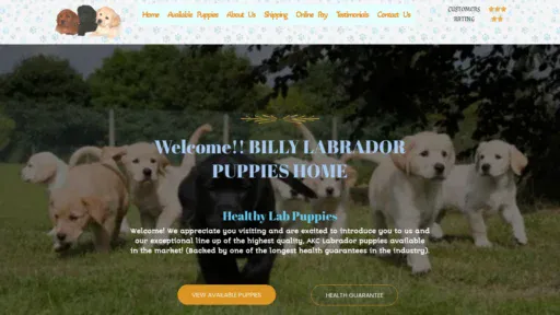A screenshot of Billylabradorpuppies.com