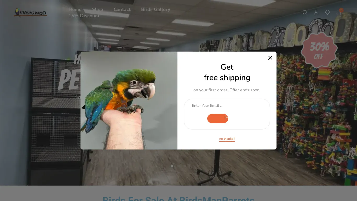 is Birds For Sale - Parrots For Sale Near Me ( Exotic birds for sale ) legit? screenshot