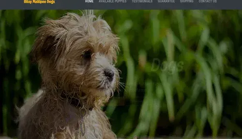 A screenshot of Genlanfamilystbernard.com