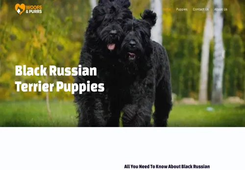 is blackrussianterrierpups.com legit? screenshot