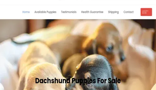 A screenshot of Genlanfamilystbernard.com