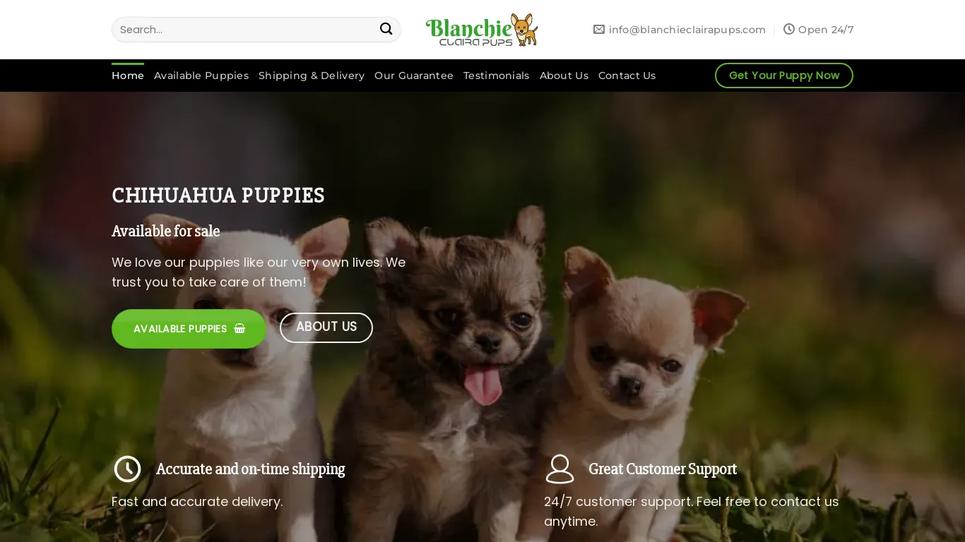 is blanchieclairapups.com legit? screenshot