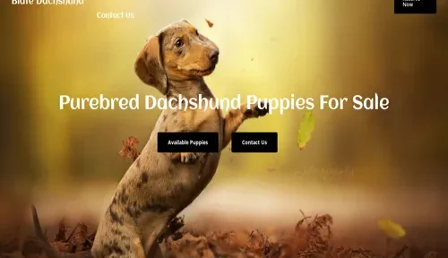 A screenshot of Genlanfamilystbernard.com