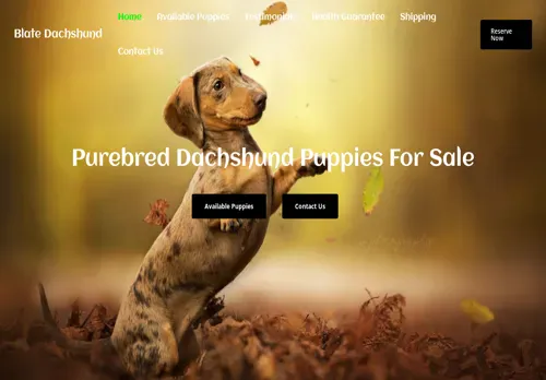 is blatedachshund.com legit? screenshot