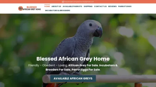 A screenshot of Blessedafricangreyhome.com