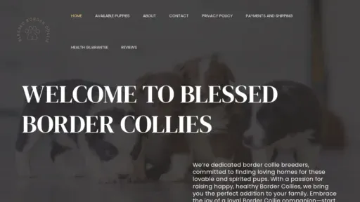 A screenshot of Blessedbordercollies.com