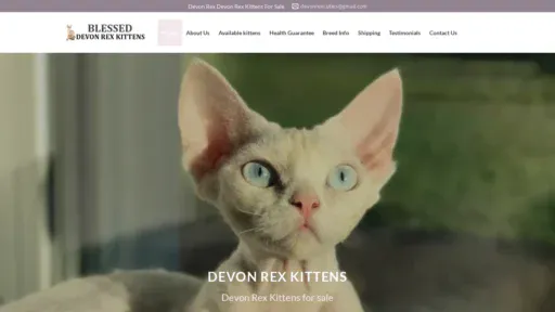 A screenshot of Blesseddevonrexkittens.com