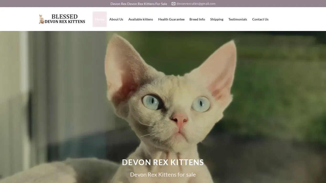 is blesseddevonrexkittens.com legit? screenshot