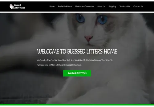 is blessedliittershome.com legit? screenshot