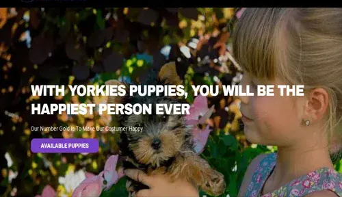A screenshot of Genlanfamilystbernard.com