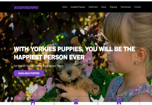 is blessedyorkiepuppies.com legit? screenshot