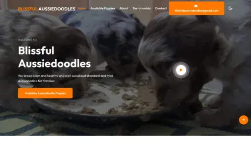 A screenshot of Blissfulaussiedoodles.com
