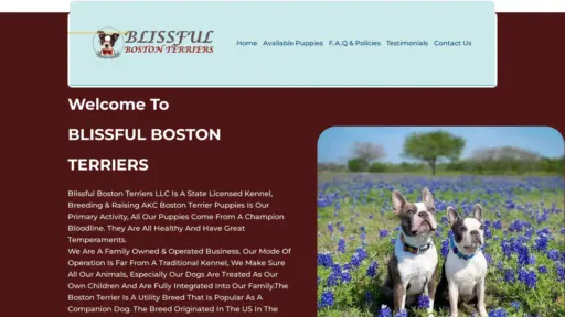 A screenshot of Blissfulbostonterriers.com