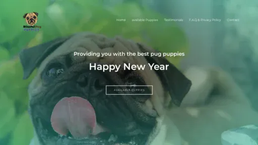 A screenshot of Blissfulpugpuppies.com