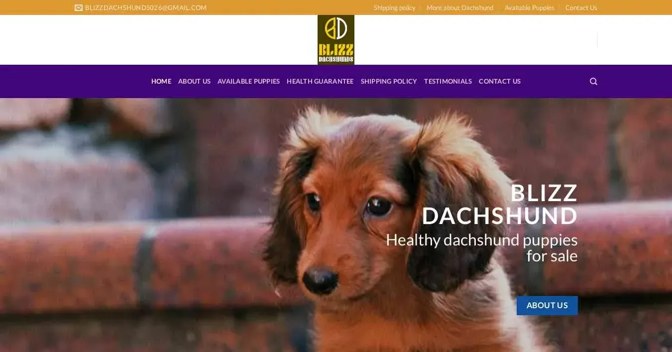 is blizzdachshunds.com legit? screenshot